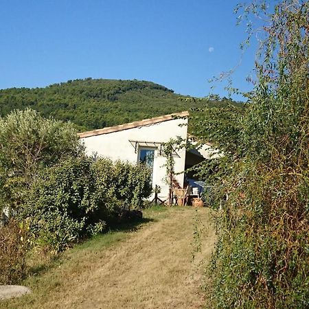 Maison De Campagne L'Etang Seillans Dış mekan fotoğraf